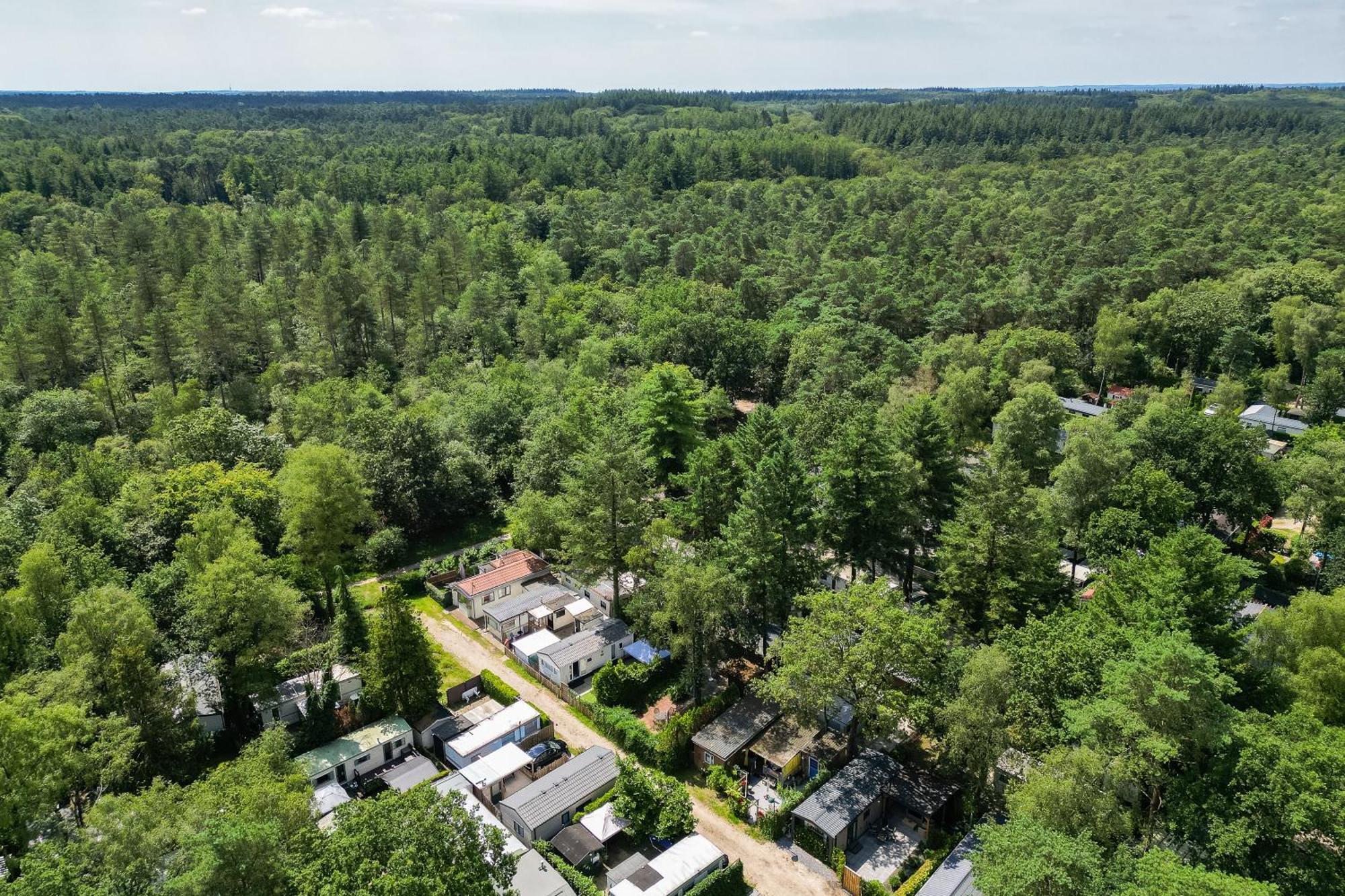 Veluwe Hoenderloo Luxury Chalet With Private Sauna And Hot Tub - Swimming Pool Tennis Court Supermarket Bowling Alley Theatre And Entertainment For Children Extérieur photo